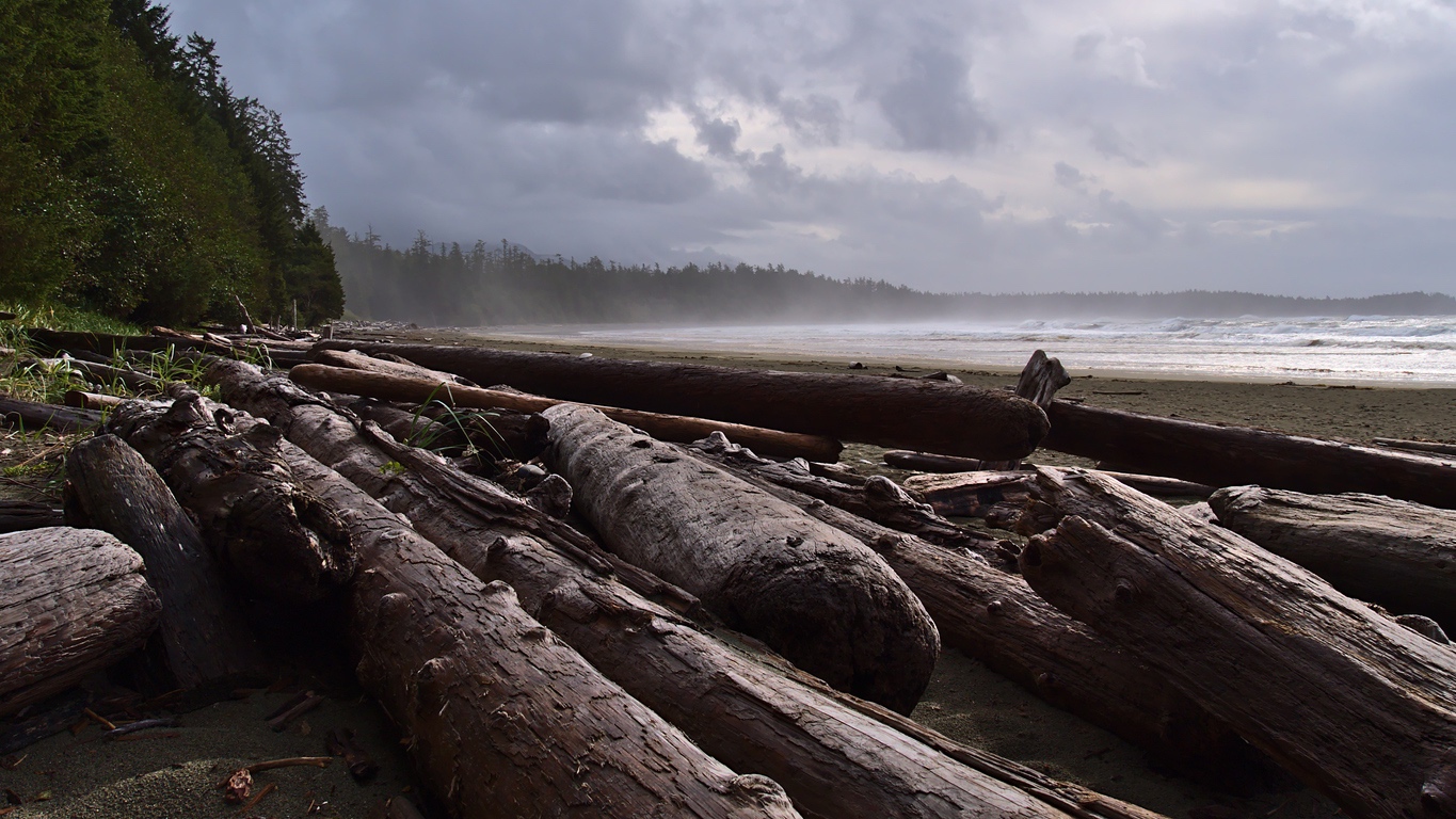 coping with anxious thoughts in North Vancouver